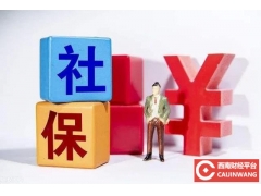 “有些普通人，自己花钱买社保，宁愿买最低档”你怎么看？